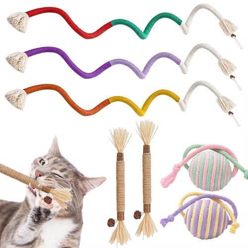 Coomazy Katzenspielzeug 3 Stück Kauspielzeug Beißseil Katzenspielzeug Selbstbeschäftigung Katzenminze Sticks für Katzen Zahnpflege Coomazy Katzenspielzeug 3 Stück Kauspielzeug Beißseil Katzenspielzeug Selbstbeschäftigung Katzenminze Sticks für Katzen Zahnpflege von Coomazy