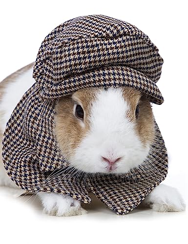 Coomour Kaninchen-Detektiv-Kostüm, lustiges Häschen, kariert, Hemden mit klassischem Hut, Hasen, Cosplay-Kleidung, Größe L von Coomour