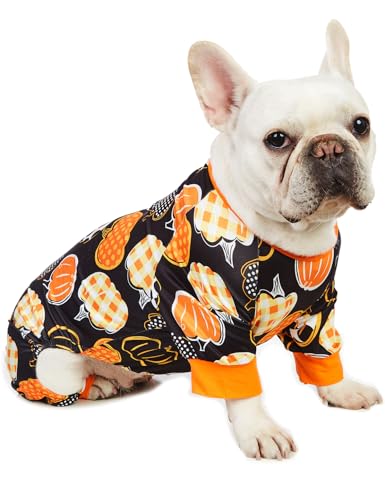 Coomour Hund Halloween Shirts Kürbis Haustier Kleidung Welpen Nette Pyjamas Doggie Halloween Kostüme (M) von Coomour