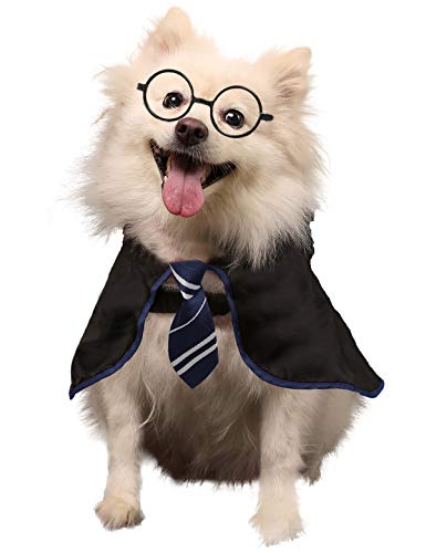 Coomour Hunde-Halloween-Kostüm, Zauberer, Haustier-Shirt, lustige Katzen-Kleidung für Hunde, Katzen, Kleidung, Outfits mit Brille, Größe XL, Blau von Coomour
