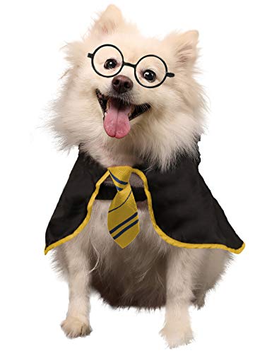 Coomour Hunde-Halloween-Kostüm, Zauberer, Haustier-Shirt, lustige Katzenkleidung für Hunde, Katzen, Kleidung, Outfits mit Brille (Medium, Gelb) von Coomour