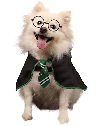Coomour Hunde-Halloween-Kostüm, Zauberer, Haustier-Shirt, lustige Katzenkleidung für Hunde, Katzen, Kleidung, Outfits mit Brille (Medium, Grün) von Coomour
