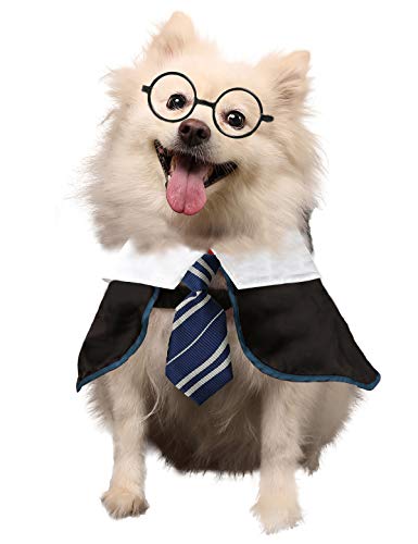 Coomour Hunde-Kostüm, Zauberer-Shirt, lustige Katzenkleidung für Hunde, Katzen, Kleidung mit Brille (X-Large, Blau) von Coomour