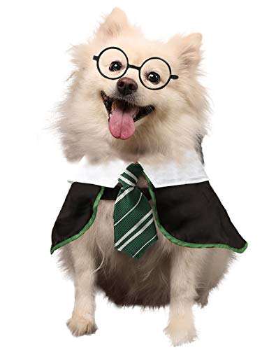 Coomour Hunde-Kostüm, Zauberer-Shirt, lustige Katzenkleidung für Hunde, Katzen, Kleidung mit Brille (X-Large, Grün) von Coomour