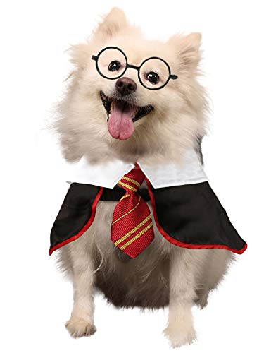 Coomour Hunde-Shirt, Haustier-Zauberer-Kostüm, Katze, weiche Kleidung für Hunde und Katzen, weiche Kapuzenpullover, mit Brille (X-Large) von Coomour