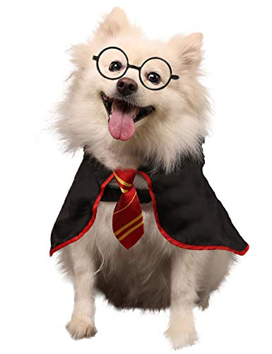 Coomour Hunde-Shirt, Haustier-Zauberer-Kostüm, Katze, weiche Kleidung für Hunde und Katzen, weicher Kapuzenpullover mit Brille, Größe L von Coomour