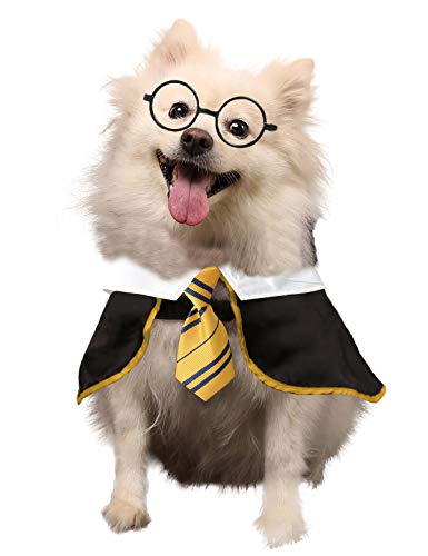 Coomour Hundekostüm Haustier Zauberer Shirt Lustige Katzenkleidung für Hunde Katzen Kleidung mit Brille (X-Large, Gelb) von Coomour