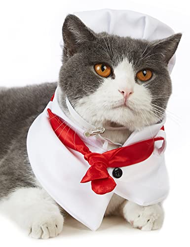Coomour Koch-Katzen-Kostüm, lustige Haustierkleidung mit Kochhut, Kätzchen, Cosplay-Kleidung, Welpen, Kochshirt für kleine Hunde-Outfits (L, Weiß) von Coomour