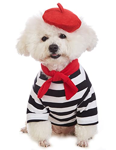 Coomour Künstler Hund Kostüm mit lustiger Mütze Maler Haustier Kleidung für kleine Hunde Shirts Welpen Sommer T-Shirt (L) von Coomour