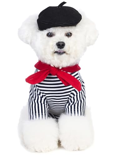 Coomour Künstler-Hundekostüm mit lustigem Hut, Maler, Haustierkleidung für kleine Hunde, Hemden, Welpen, Sommer-T-Shirt (S, Schwarz02) von Coomour