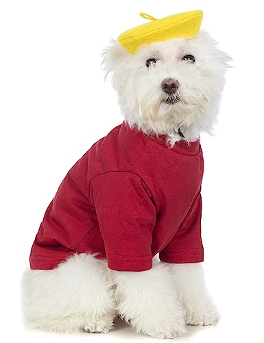 Coomour Künstler-Hundekostüm mit lustigem Hut, Maler, Haustierkleidung für kleine Hunde, Sommer-T-Shirt für Welpen, Größe L, Rot von Coomour