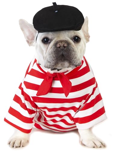Coomour Künstler-Hundekostüme mit lustigem Hut, Maler, Haustierkleidung für kleine Hunde, Hemd, Welpen, Sommer-T-Shirt, Größe L von Coomour