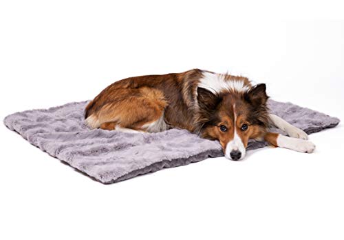 CopcoPet Hundedecke Cheyenne 100 x 80cm, Grau, waschbare Fleecedecke Hund, dicht gewebte Tierdecke, kuscheliger Schlafplatz für Hunde & Katzen von CopcoPet