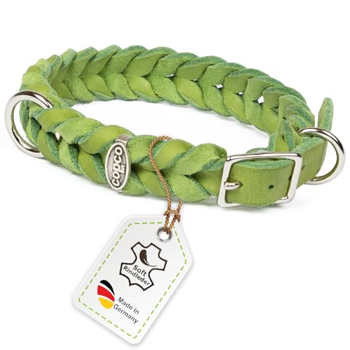 CopcoPet Fettleder Hundehalsband geflochten mit Dornschließe verchromt Handarbeit aus Deutschland Lederhalsband Apfelgrün 20 mm Breite 50-55 cm Halsumfang CopcoPet Fettleder Hundehalsband geflochten mit Dornschließe verchromt Handarbeit aus Deutschland Lederhalsband Apfelgrün 20 mm Breite 50-55 cm Halsumfang von CopcoPet