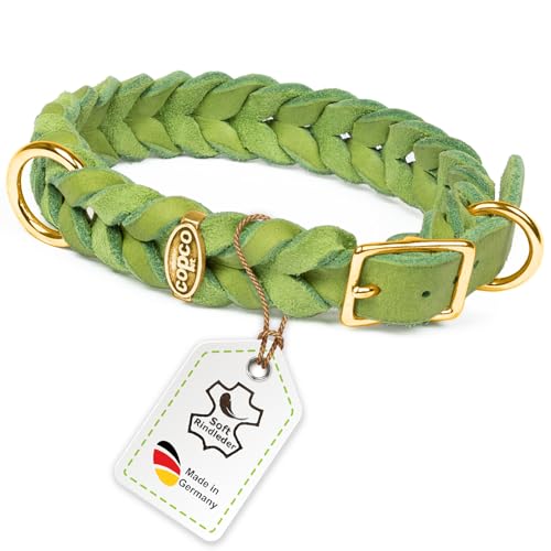 CopcoPet Fettleder Hundehalsband geflochten mit Dornschließe Messing Handarbeit aus Deutschland Lederhalsband Apfelgrün 25 mm Breite 35-39 cm Halsumfang CopcoPet Fettleder Hundehalsband geflochten mit Dornschließe Messing Handarbeit aus Deutschland Lederhalsband Apfelgrün 25 mm Breite 35-39 cm Halsumfang von CopcoPet