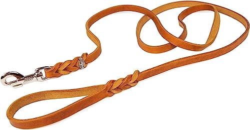 CopcoPet - Fettlederleine 2,2 m x 10 mm, Cognac, Hunde-Leine aus Leder mit verchromtem Karabiner, geflochtene Hunde-Führleine Leder von CopcoPet