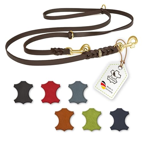 CopcoPet Fettlederleine, 3-Fach verstellbare Hundeleine aus weichem Leder mit Messingbeschlägen, geflochtene Umhängeleine für große Hunde (3,5m x 20mm | Braun) von CopcoPet