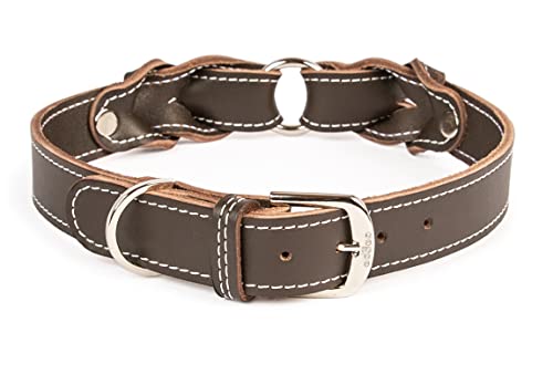 CopcoPet Hundehalsband Heidi aus Leder Braun mit Ziernaht Beschläge Verchromt 20 mm Breite 25-30 cm Halsumfang von CopcoPet