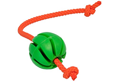 CopcoPet - Hundeballspirale mit Kordel Gr.: 30 cm x 6 cm Ø Grün von CopcoPet - Hundespielzeug