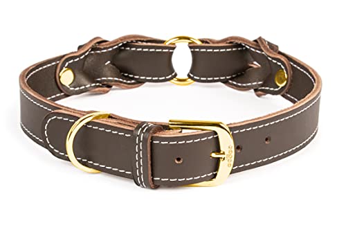 CopcoPet Hundehalsband Heidi aus Leder Braun mit Ziernaht Beschläge Messing 20 mm Breite 25-30 cm Halsumfang von CopcoPet