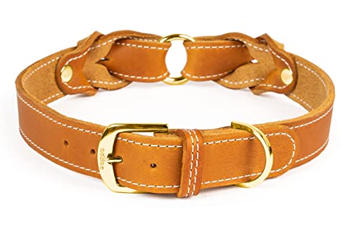 CopcoPet Hundehalsband Heidi aus Leder Cognac mit Ziernaht Beschläge Messing 20 mm Breite 25-30 cm Halsumfang von CopcoPet