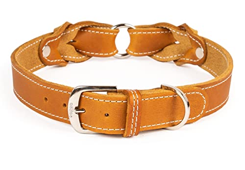 CopcoPet Hundehalsband Heidi aus Leder Cognac mit Ziernaht Beschläge Verchromt 20 mm Breite 40-45 cm Halsumfang von CopcoPet