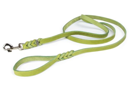 CopcoPet - Hundeleine Grün 1,5 m x 10 mm aus hochwertigem Rindsleder - Weiche Fettlederleine mit Chrom Karabiner - Geflochtene Führleine für Hunde - Hunde Zubehör 100% Handmade in Germany von CopcoPet