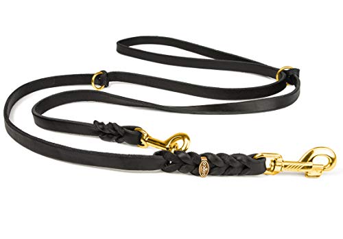 CopcoPet Hundeleine aus Fettleder 3m x 12mm Schwarz – 3-Fach verstellbar, geflochten – Mit Messingbeschlägen – Grifffest, robust – Umhängeleine für mittelgroße Hunde, ideal für Spaziergang, Training CopcoPet Hundeleine aus Fettleder 3m x 12mm Schwarz – 3-Fach verstellbar, geflochten – Mit Messingbeschlägen – Grifffest, robust – Umhängeleine für mittelgroße Hunde, ideal für Spaziergang, Training von CopcoPet