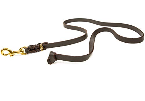 CopcoPet Hundeleine geflochten ohne Handschlaufe, Führleine ist aus robustem Fettleder mit Karabiner aus Messing, perfekt für große, mittlere und kleine Hunde, 7,50 m x 12 mm in Braun von CopcoPet