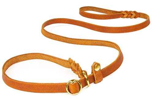 CopcoPet Fettlederleine Retrieverleine Agilityleine Moxonleine Hundeleine mit zugstopp (Cognac, 1.60 m x 18 mm Messing) von CopcoPet