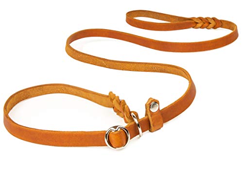 CopcoPet Retrieverleine mit Zugstopp für mittelgroße Hunde – 1,40m x 12mm Moxonleine in Cognac – Fettlederleine & Agilityleine aus Leder – stufenlos verstellbar, Handarbeit, verchromt, wetterfest CopcoPet Retrieverleine mit Zugstopp für mittelgroße Hunde – 1,40m x 12mm Moxonleine in Cognac – Fettlederleine & Agilityleine aus Leder – stufenlos verstellbar, Handarbeit, verchromt, wetterfest von CopcoPet