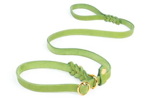 CopcoPet Retrieverleine mit Zugstopp für große Hunde – 1,40m x 18mm Moxonleine in Apfelgrün – Fettlederleine & Agilityleine aus Leder – stufenlos verstellbar, Handarbeit, Messing, wetterfest CopcoPet Retrieverleine mit Zugstopp für große Hunde – 1,40m x 18mm Moxonleine in Apfelgrün – Fettlederleine & Agilityleine aus Leder – stufenlos verstellbar, Handarbeit, Messing, wetterfest von CopcoPet