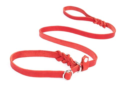 CopcoPet Retrieverleine mit Zugstopp für kleine Hunde – 1,60m x 10mm Moxonleine in Rot – Fettlederleine & Agilityleine aus Leder – stufenlos verstellbar, Handarbeit, verchromt, wetterfest CopcoPet Retrieverleine mit Zugstopp für kleine Hunde – 1,60m x 10mm Moxonleine in Rot – Fettlederleine & Agilityleine aus Leder – stufenlos verstellbar, Handarbeit, verchromt, wetterfest von CopcoPet