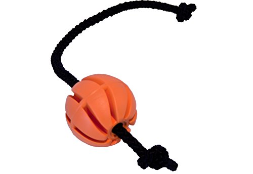 CopcoPet - hundeballspirale mit Kordel Gr.: 30 cm x 6 cm Ø Orange von CopcoPet