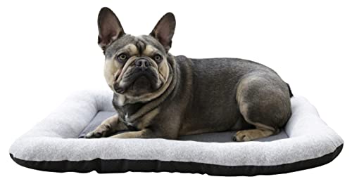Coperani | Antibakterielles Hundekissen | Grau | 90 x 69 x 15 cm | Geruchsneutral | Graphen Coperani | Antibakterielles Hundekissen | Grau | 90 x 69 x 15 cm | Geruchsneutral | Graphen von Coperani LIEBLINGSSACHEN FÜR IHR TIER