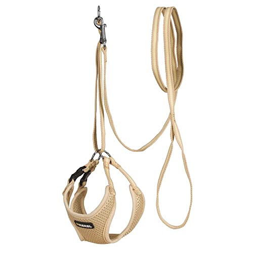Coperani | Hundegeschirr mit Leine | Welpengeschirr | Mesh | 24-44 cm Brustumfang | Beige | Weich | Stufenlos Verstellbar | Robust | Stabil | Hochwertig Coperani | Hundegeschirr mit Leine | Welpengeschirr | Mesh | 24-44 cm Brustumfang | Beige | Weich | Stufenlos Verstellbar | Robust | Stabil | Hochwertig von Coperani LIEBLINGSSACHEN FÜR IHR TIER