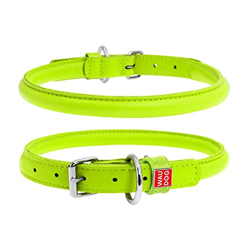 Coperani | Hundehalsband | Halsumfang: 20-25 cm | Breite: 10 mm | Leder | Limette | Edel | Langlebig | Robust | Hochwertig von Coperani LIEBLINGSSACHEN FÜR IHR TIER