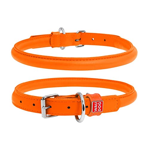 Coperani | Hundehalsband | Halsumfang: 20-25 cm | Breite: 10 mm | Leder | Orange | Edel | Langlebig | Robust | Hochwertig von Coperani LIEBLINGSSACHEN FÜR IHR TIER