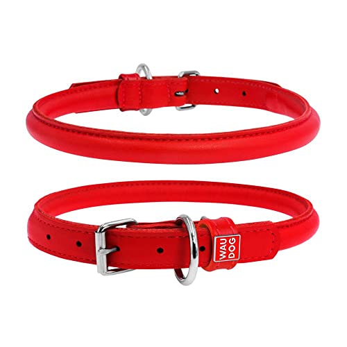 Coperani | Hundehalsband | Halsumfang: 20-25 cm | Breite: 10 mm | Leder | Rot | Edel | Langlebig | Robust | Hochwertig von Coperani LIEBLINGSSACHEN FÜR IHR TIER