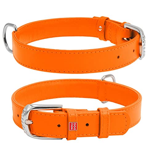Coperani | Hundehalsband | Halsumfang: 21-29 cm | Breite: 2 cm | Leder | Orange | Langlebig | Robust | Hochwertig von Coperani LIEBLINGSSACHEN FÜR IHR TIER