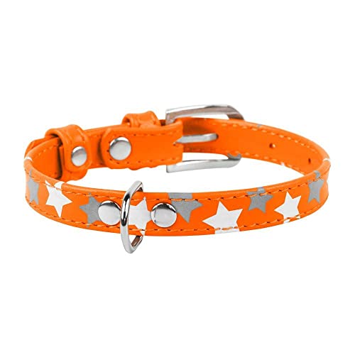 Coperani | Hundehalsband | Halsumfang: 21-29 cm | Leder | Orange | Edel | Langlebig | Robust | Hochwertig von Coperani LIEBLINGSSACHEN FÜR IHR TIER