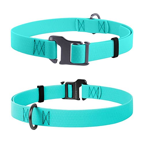 Coperani | Hundehalsband | Halsumfang: 25-50 cm | Minze | Collartex | Wasserfest | Weiches Material | Stabil | Hochwertig | Pflegeleicht Coperani | Hundehalsband | Halsumfang: 25-50 cm | Minze | Collartex | Wasserfest | Weiches Material | Stabil | Hochwertig | Pflegeleicht von Coperani LIEBLINGSSACHEN FÜR IHR TIER