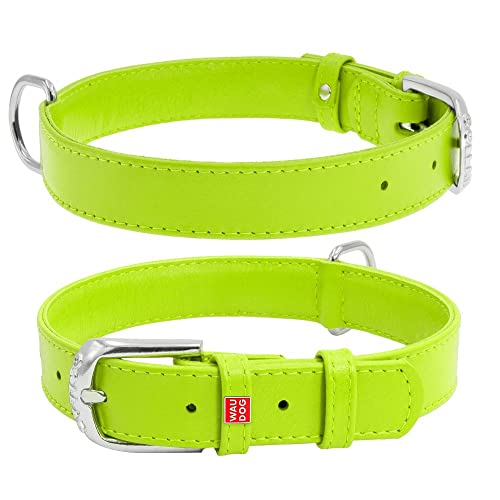 Coperani | Hundehalsband | Halsumfang: 30-39 cm | Breite: 2 cm | Leder | Blau | Langlebig | Robust | Hochwertig Coperani | Hundehalsband | Halsumfang: 30-39 cm | Breite: 2 cm | Leder | Blau | Langlebig | Robust | Hochwertig von Coperani LIEBLINGSSACHEN FÜR IHR TIER