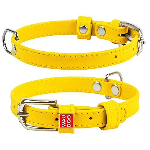 Coperani | Hundehalsband | Halsumfang: 30-39 cm | Breite: 2 cm | Leder | Gelb | Langlebig | Robust | Hochwertig Coperani | Hundehalsband | Halsumfang: 30-39 cm | Breite: 2 cm | Leder | Gelb | Langlebig | Robust | Hochwertig von Coperani LIEBLINGSSACHEN FÜR IHR TIER