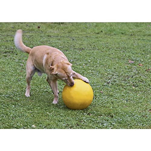 Coperani | Hundespielball | Hundespielzeug | Durchmesser 30 cm | Kunststoff | Gelb | Robust | Hochwertig von Coperani LIEBLINGSSACHEN FÜR IHR TIER