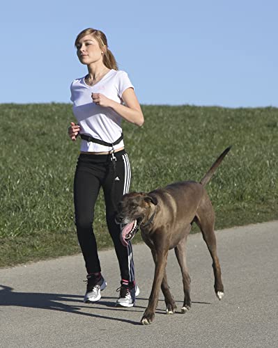 Coperani | Joggingleine für Hunde | Schwarz | 140 cm Länge | Bauchumfang bis 100 cm von Coperani LIEBLINGSSACHEN FÜR IHR TIER