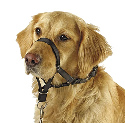 Coperani | Trainings- und Erziehungsgeschirr für Hunde | 24 cm | Schwarz von Coperani LIEBLINGSSACHEN FÜR IHR TIER
