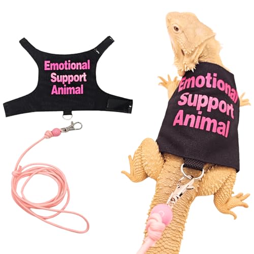 Bartagame, Eidechsen, Kleidung mit Leine, Set für kleine Haustiere, Reptilien, Meerschweinchen, Bekleidung, Eidechsen, Outdoor, Spazierengehen, Training, Geschirr, Leine, handgefertigt, Kostüm Bartagame, Eidechsen, Kleidung mit Leine, Set für kleine Haustiere, Reptilien, Meerschweinchen, Bekleidung, Eidechsen, Outdoor, Spazierengehen, Training, Geschirr, Leine, handgefertigt, Kostüm von Copfeu