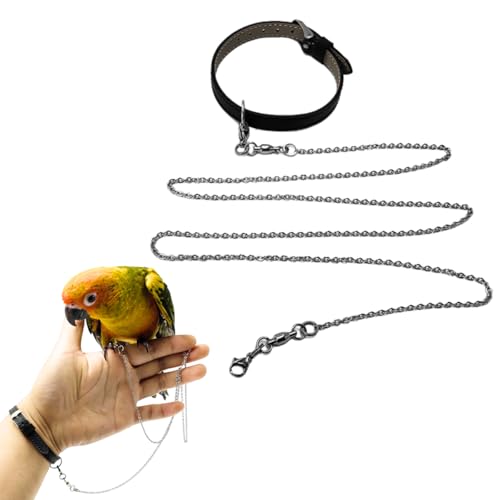 Copfeu Vogel-Fußkette, fliegendes Edelstahl-Trainingsseil mit Leder-Handgelenkschlaufe, für den Außenbereich, Papageien, Knöchelfußring, Zubehör, Vogelgeschirr, Leine, verhindert das Entkommen (Modell von Copfeu