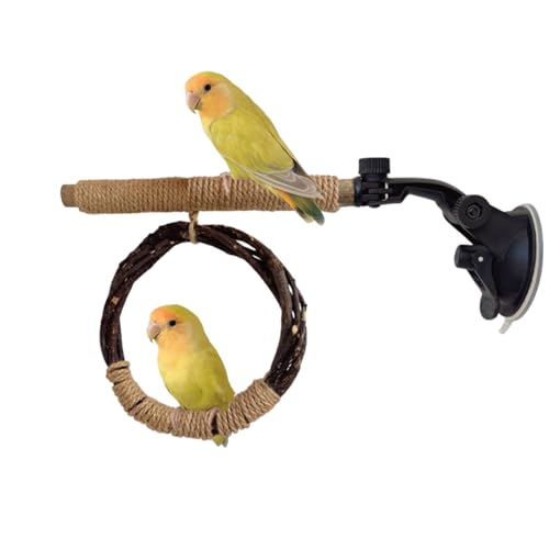 Copfeu Vogelständer-Sitzstange mit runder Holzschaukel, Spielzeug-Set mit Saugnapf, Papageienspielzeug, Papageienspielzeug, Kauspielzeug für Vögel, Sittiche, kleine Vögel, Spielzeug, Papageienschaukel von Copfeu
